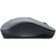 Миша Lenovo WL310 Silent Wireless Grey (GY51Q65621)