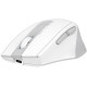 Миша A4tech FG35C Plus White