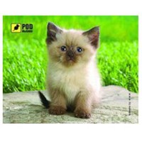 Коврик PODMYSHKU Сиамский котик зелено-бежевый