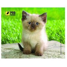 Килимок PODMYSHKU Сіамський котик зелено-бежевий