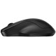 Миша HP 255 WL/BT Black (8R3U1UT)