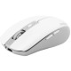 Миша Proove Comet Wireless White (WMCM00022002)