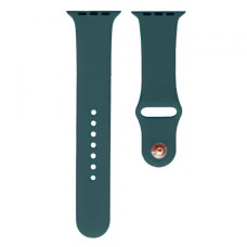 Ремінець Apple Watch 38, Watch 40, Silicone WatchBand, Pistachio, Зелений