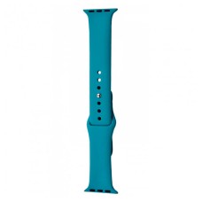 Ремінець Apple Watch 42, Watch 44, Silicone WatchBand, Cactus, Зелений