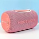 Колонка Bluetooth Hopestar P65, Серый