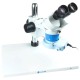 Микроскоп Sunshine ST6024N-B3, Серый
