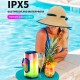 Колонка Bluetooth Hopestar P52, Черный