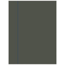 Поляризаційна плівка, 4.7 inch