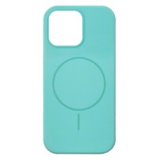 Чохол Apple iPhone 13 Pro Max, Air Beats, Succulent, MagSafe, Бірюзовий