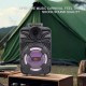 Колонка Bluetooth Sing-e ZQS805, Чорний