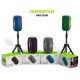 Колонка Bluetooth Hopestar P65 Club, Черный